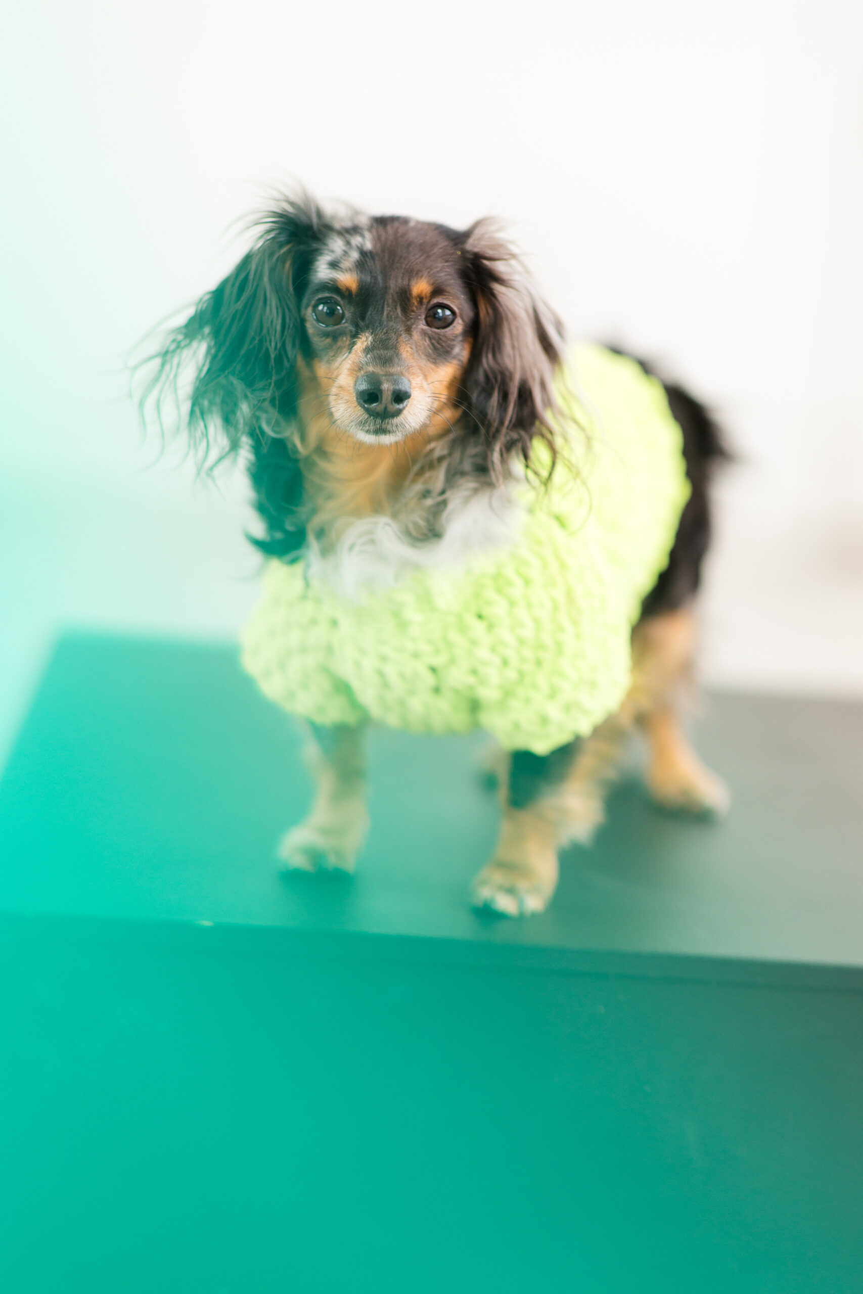 Landon-Wise-Photography_Revel-223