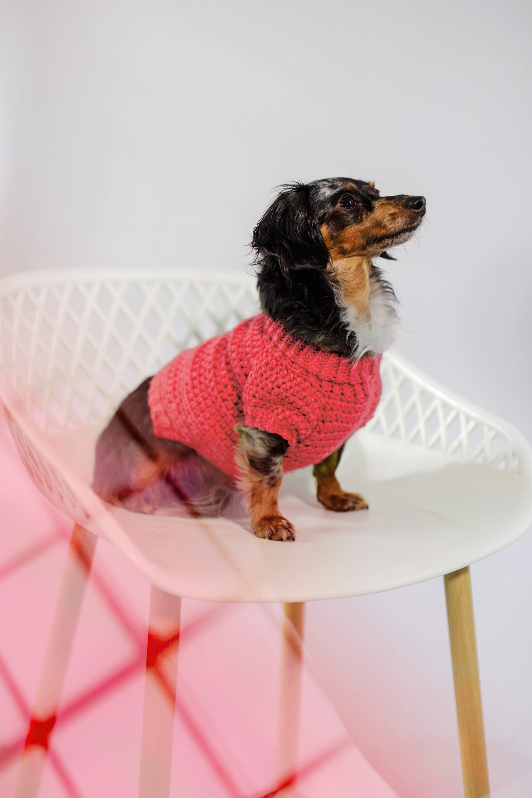 SourceCreative-RevelCo-Feb2025-9336 Recolor